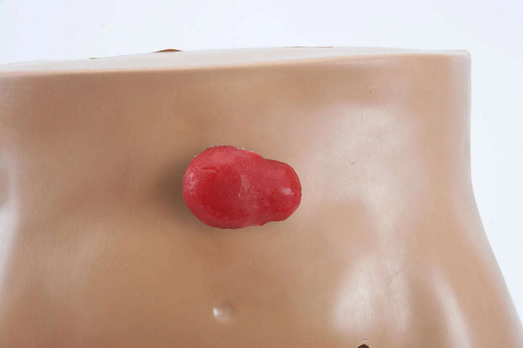 Stoma Care Torso, Light