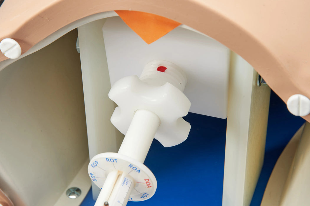Debra Enhanced® - Impacted Fetal Head Simulator, Light