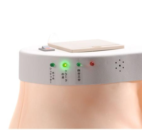 Two-in-One Intramuscular Injection Model of Buttocks Type 2