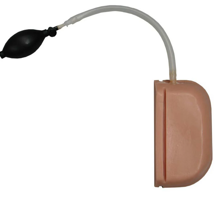 Replaceable Lung for Ultrasound Thoracentesis Model