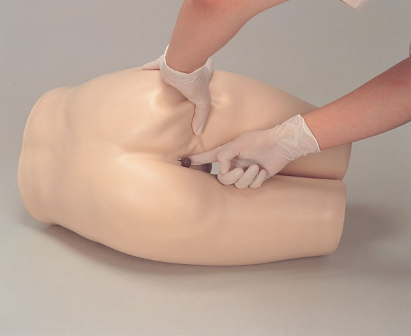 Enema Training Model