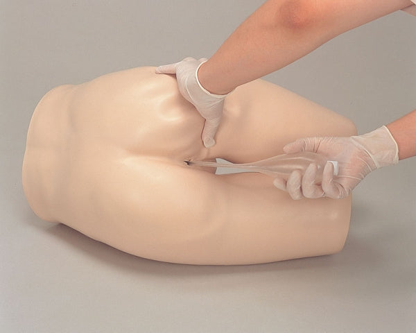 Enema Training Model