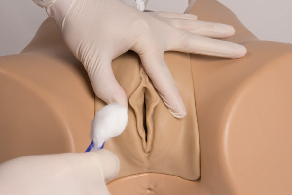 Florence Bladder Catheterization Simulator (Female)