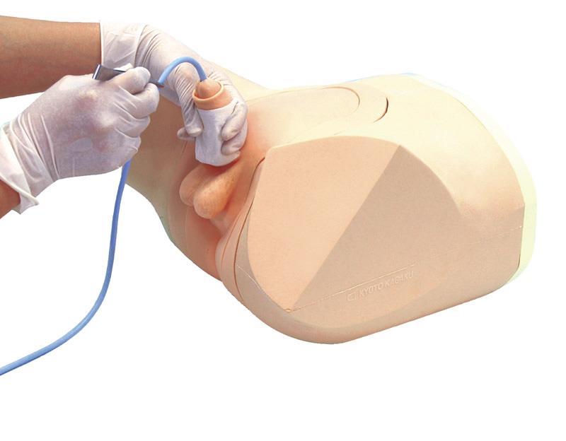 Catheterization and Enema Simulator (Male)