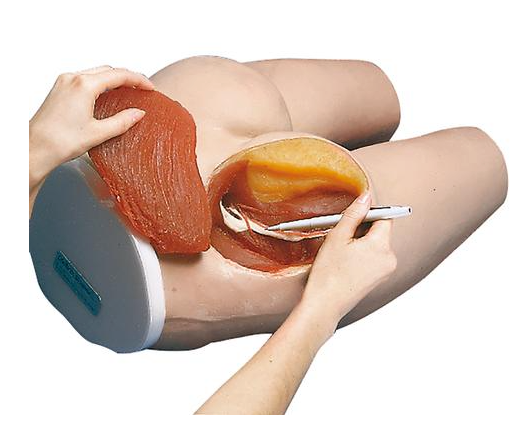 I.M. Injection Simulator