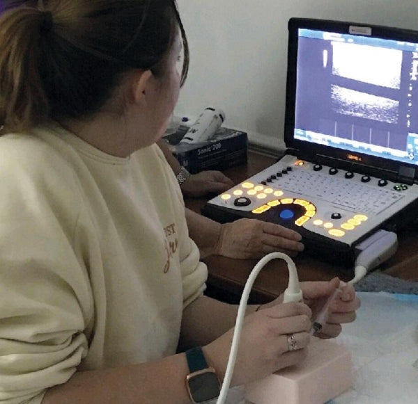 SonoEZ Ultrasound Trainer - Branched Vessel