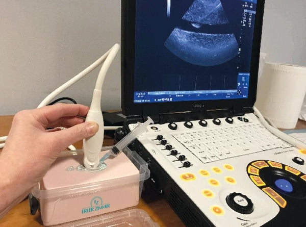 SonoEZ Ultrasound Trainer - Injection