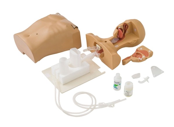 Suction/Tube Feeding Simulator