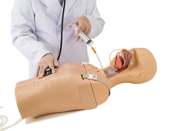 Suction/Tube Feeding Simulator