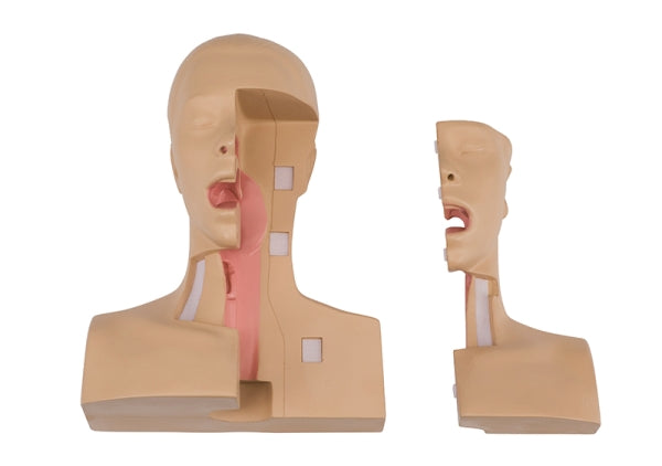 Tracheostomy Management Simulator