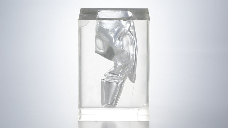Transparent Laryngopharynx Model