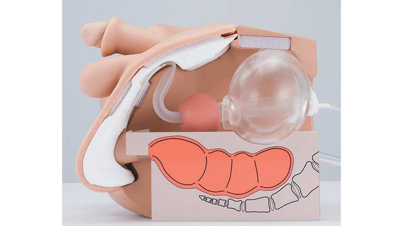 Male Catheterization and Enema Simulator