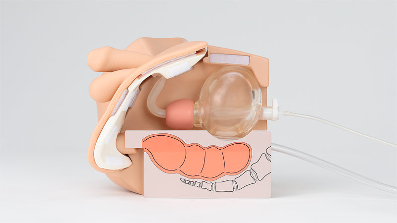 Male Catheterization and Enema Simulator