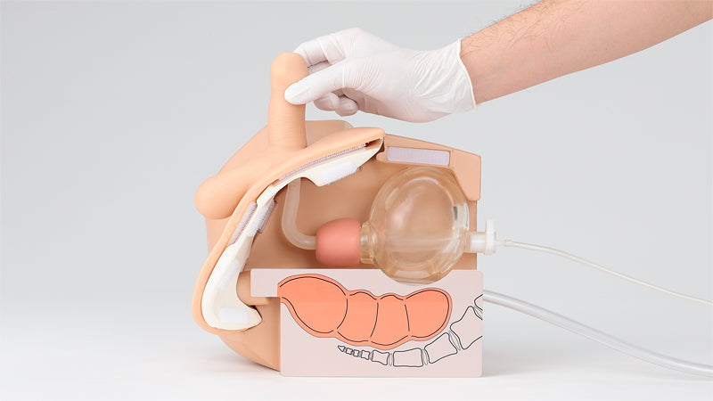 Male Catheterization and Enema Simulator