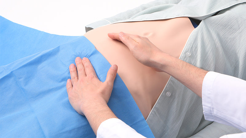 Puerperal Uterus Palpation Training Model (Wearable type)