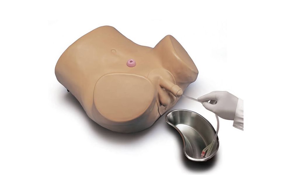 Male & Female Catheterization & Ostomy Care Simulator