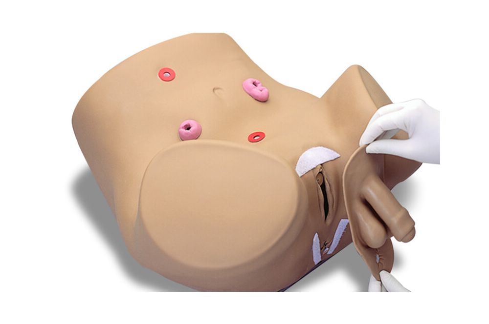 Male & Female Catheterization & Ostomy Care Simulator