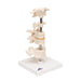 Image 3 - MODEL OF 6 HUMAN VERTEBRAE, MOUNTED ON STAND (ATLAS, AXIS, CERVICAL, 2X THORACIC, LUMBAR) - 3B SMART ANATOMY