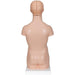 Image 3 - MINI HUMAN TORSO MODEL, 12 PART - 3B SMART ANATOMY