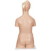 Image 3 - DELUXE DUAL SEX HUMAN TORSO MODEL, 20 PART - 3B SMART ANATOMY