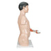 Image 3 - LIFE-SIZE ASIAN DUAL SEX HUMAN TORSO MODEL WITH MUSCULAR ARM, 33 PART - 3B SMART ANATOMY