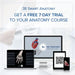 Image 2 - 3B MICROANATOMYâ„¢ HUMAN TONGUE MODEL - 3B SMART ANATOMY