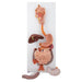 Image 3 - HUMAN DIGESTIVE SYSTEM MODEL, 3 PART - 3B SMART ANATOMY