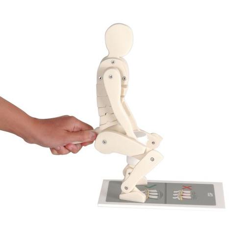 Image 2 - LIFTING DEMONSTRATION FIGURE