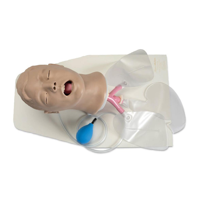 Airway Larry Adult Airway Management Trainer with Stand
