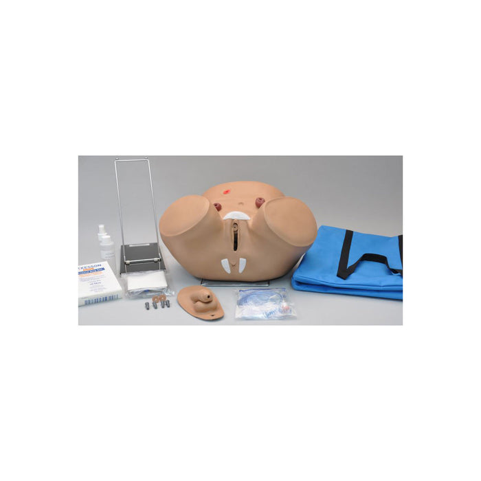 Male & Female Catheterization & Ostomy Care Simulator