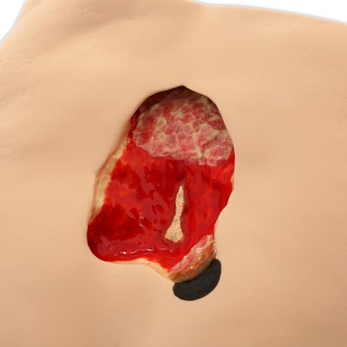 Image 4 - SEYMOUR II™ WOUND CARE SIMULATOR