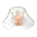 Image 3 - TRANSPARENT FEMALE CATHETER MODEL