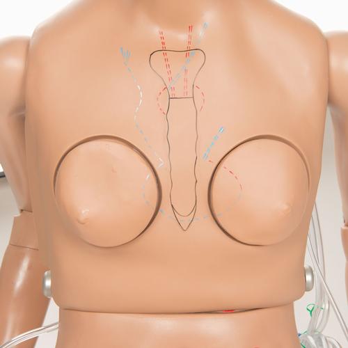 Image 3 - CPR SUSIE ADVANCED EMERGENCY CARE