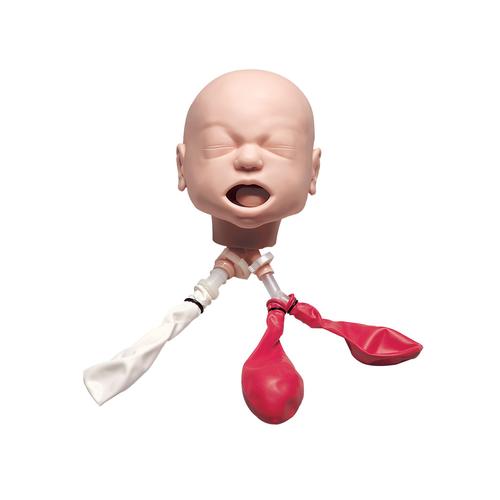 Image 2 - INFANT AIRWAY TRAINER WITH STAND