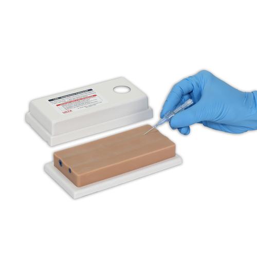 Image 2 - TWO-VEIN VENIPUNCTURE TRAINING AID - DERMALIKE II™ LATEX FREE, LIGHT SKIN