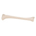 Image 4 - HUMAN TIBIA MODEL- 3B SMART ANATOMY