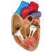 Image 2 - 3-MINI HEART MODEL SET