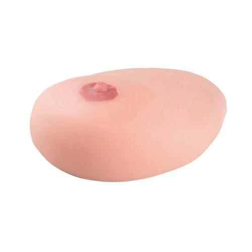 Image 6 - SONOTRAIN™ BREAST MODEL WITH CYSTS