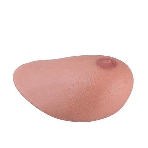 Image 2 - SONOTRAIN™ BREAST MODEL WITH TUMOURS