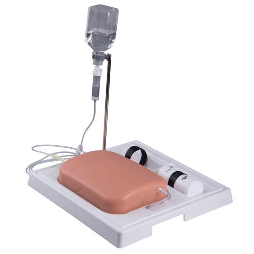 Image 4 - SONOTRAIN™ ULTRASOUND VEIN MODEL