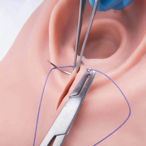 Image 5 - EPISIOTOMY AND SUTURE TRAINER