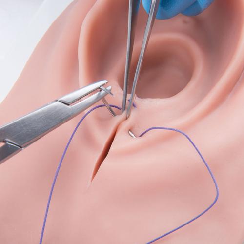 Image 6 - EPISIOTOMY AND SUTURE TRAINER