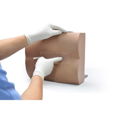 Image 2 - LUMBAR PUNCTURE TRAINER