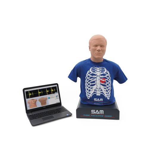 Image 2 - SAM II® - STUDENT AUSCULTATION MANIKIN, LIGHT SKIN TONE