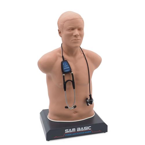 Image 3 - SAM BASIC® - AFFORDABLE ADULT AUSCULTATION MANIKIN, LIGHT SKIN TONE