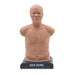 Image 4 - SAM BASIC® - AFFORDABLE ADULT AUSCULTATION MANIKIN, LIGHT SKIN TONE