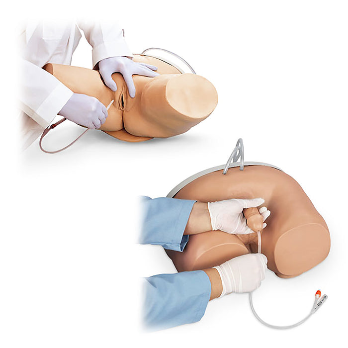Male&Female Catheterization Simulator Set