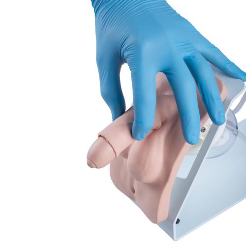 Image 4 - CATHETERIZATION SIMULATOR BASIC, MALE