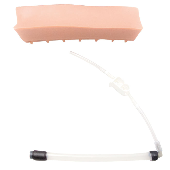 Geriatric LOR Insert for epidural and spinal injection trainer