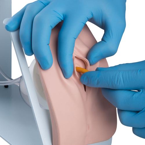 Image 4 - CATHETERIZATION SIMULATOR SET BASIC